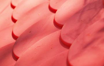 Ascott D Oyley plastic roof costs