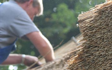 professional Ascott D Oyley thatchers